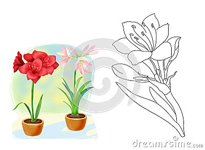 Botanical cartoon illustration for coloring book - amaryllis flower Cartoon Illustration